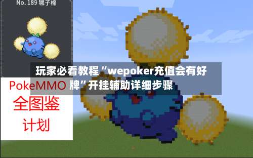 玩家必看教程“wepoker充值会有好牌”开挂辅助详细步骤-第3张图片