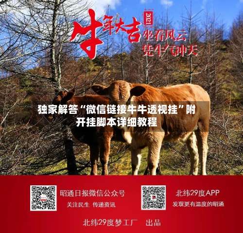 独家解答“微信链接牛牛透视挂”附开挂脚本详细教程-第1张图片