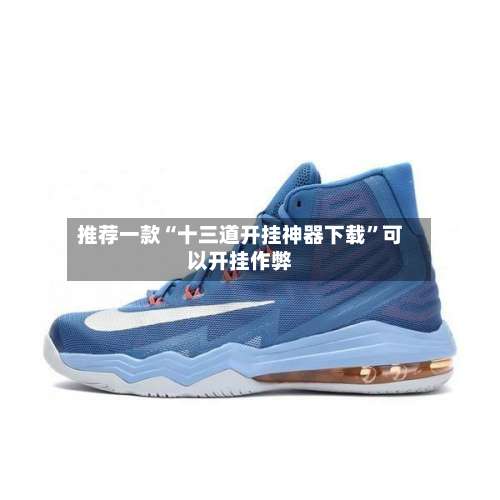 推荐一款“十三道开挂神器下载”可以开挂作弊-第2张图片