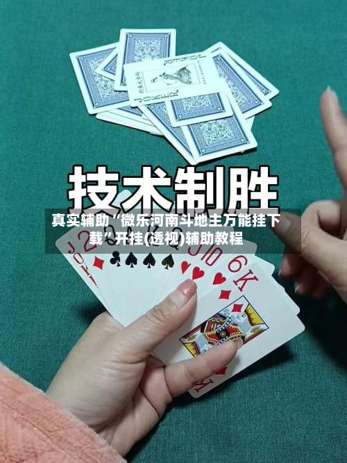 真实辅助“微乐河南斗地主万能挂下载”开挂(透视)辅助教程-第2张图片