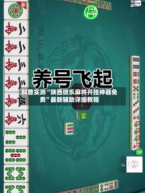 科普实测“陕西微乐麻将开挂神器免费”最新辅助详细教程-第1张图片