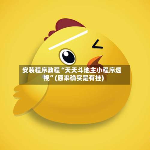 安装程序教程“天天斗地主小程序透视”(原来确实是有挂)-第1张图片