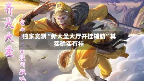 独家实测“新大圣大厅开挂辅助”其实确实有挂-第3张图片