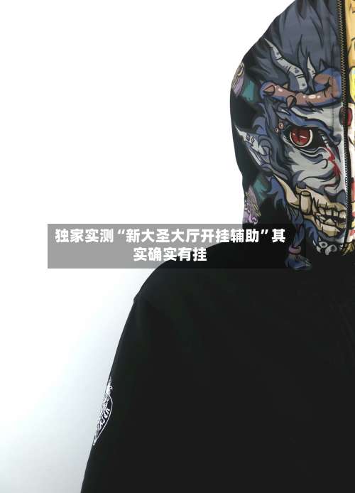 独家实测“新大圣大厅开挂辅助”其实确实有挂-第2张图片