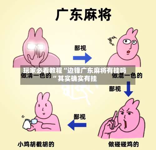 玩家必看教程“边锋广东麻将有挂吗”其实确实有挂-第2张图片