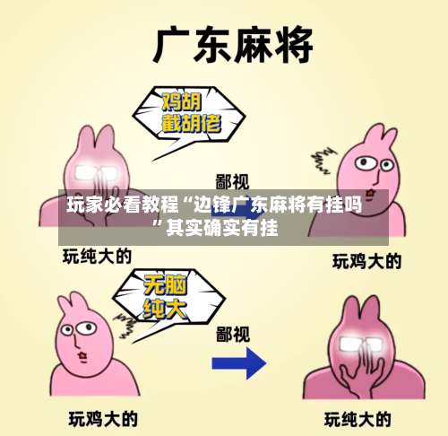 玩家必看教程“边锋广东麻将有挂吗”其实确实有挂-第1张图片