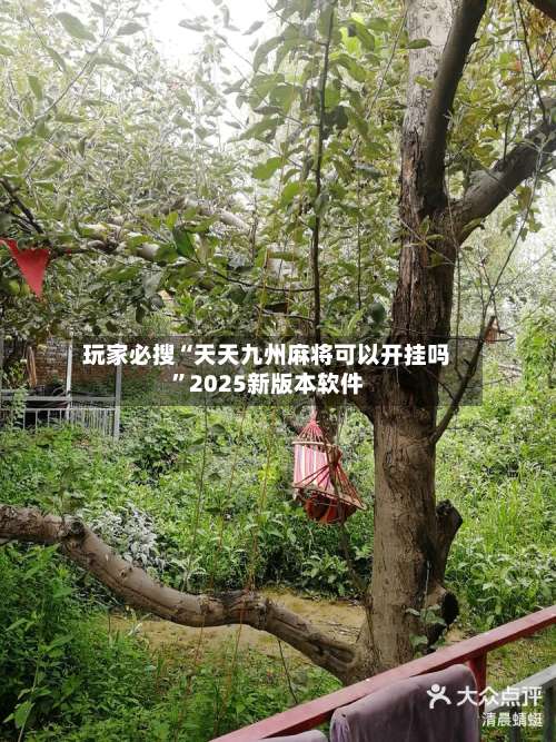 玩家必搜“天天九州麻将可以开挂吗	”2025新版本软件-第2张图片