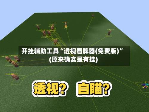 开挂辅助工具“透视看牌器(免费版)”(原来确实是有挂)-第3张图片