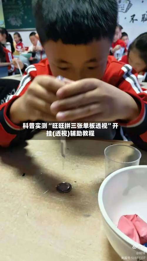 科普实测“旺旺拼三张单板透视”开挂(透视)辅助教程-第2张图片