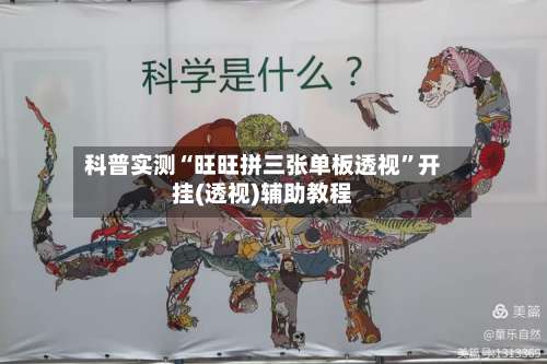 科普实测“旺旺拼三张单板透视”开挂(透视)辅助教程-第3张图片