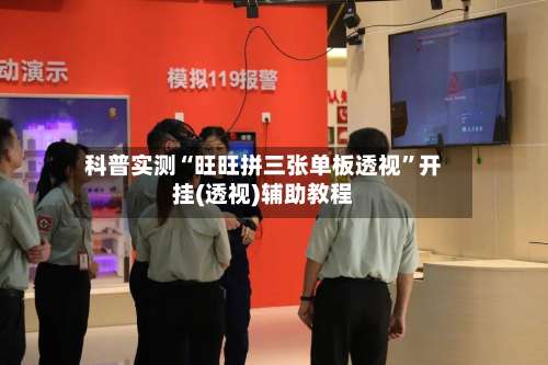 科普实测“旺旺拼三张单板透视	”开挂(透视)辅助教程-第1张图片