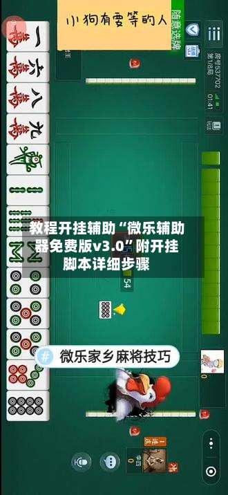 教程开挂辅助“微乐辅助器免费版v3.0”附开挂脚本详细步骤-第1张图片