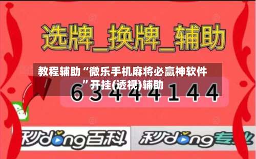 教程辅助“微乐手机麻将必赢神软件”开挂(透视)辅助-第2张图片