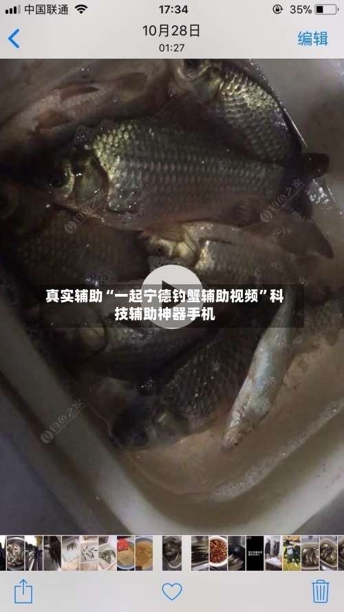 真实辅助“一起宁德钓蟹辅助视频	”科技辅助神器手机-第1张图片