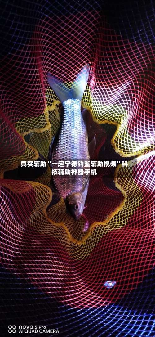 真实辅助“一起宁德钓蟹辅助视频”科技辅助神器手机-第3张图片