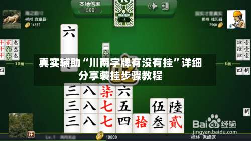 真实辅助“川南字牌有没有挂	”详细分享装挂步骤教程-第1张图片