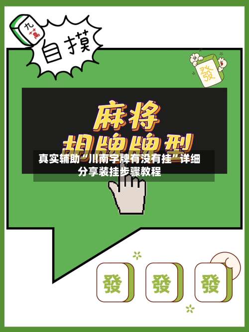 真实辅助“川南字牌有没有挂”详细分享装挂步骤教程-第2张图片