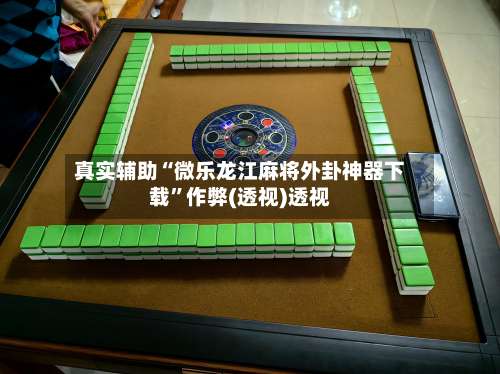 真实辅助“微乐龙江麻将外卦神器下载”作弊(透视)透视-第2张图片