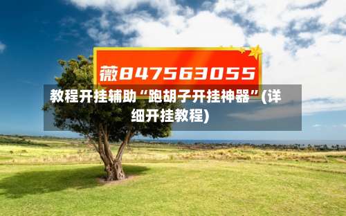 教程开挂辅助“跑胡子开挂神器”(详细开挂教程)-第1张图片