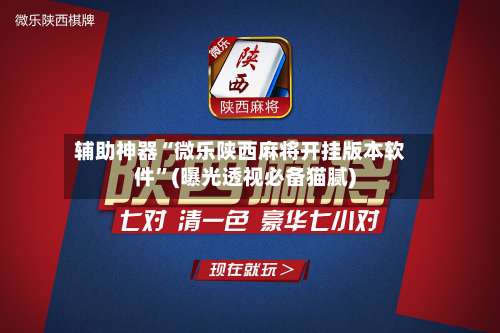 辅助神器“微乐陕西麻将开挂版本软件”(曝光透视必备猫腻)-第1张图片