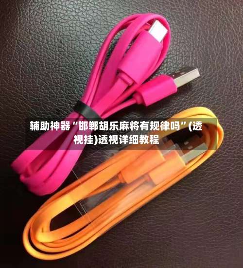 辅助神器“邯郸胡乐麻将有规律吗”(透视挂)透视详细教程-第2张图片