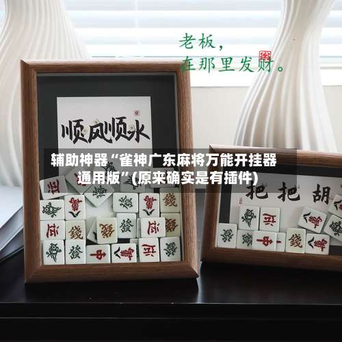 辅助神器“雀神广东麻将万能开挂器通用版”(原来确实是有插件)-第2张图片