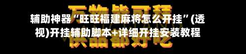 辅助神器“旺旺福建麻将怎么开挂	”(透视)开挂辅助脚本+详细开挂安装教程-第3张图片