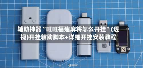 辅助神器“旺旺福建麻将怎么开挂”(透视)开挂辅助脚本+详细开挂安装教程-第1张图片