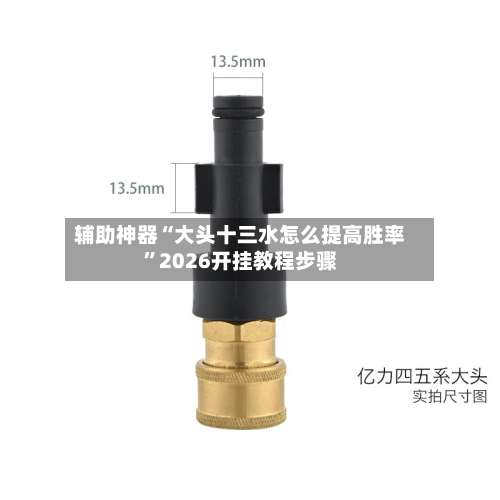 辅助神器“大头十三水怎么提高胜率”2026开挂教程步骤-第1张图片