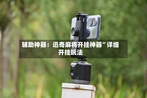 辅助神器：迅奇麻将开挂神器”详细开挂玩法-第3张图片