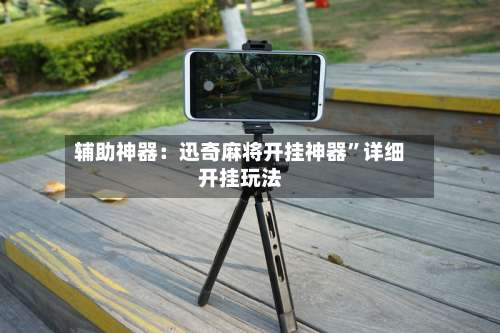 辅助神器：迅奇麻将开挂神器”详细开挂玩法-第1张图片