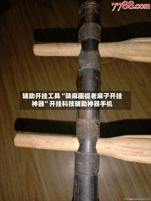辅助开挂工具“陕麻圈捉老麻子开挂神器”开挂科技辅助神器手机-第2张图片