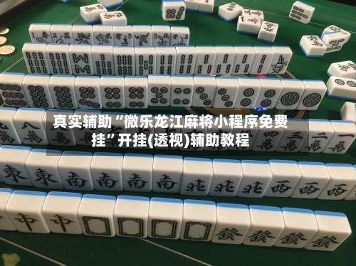 真实辅助“微乐龙江麻将小程序免费挂”开挂(透视)辅助教程-第1张图片