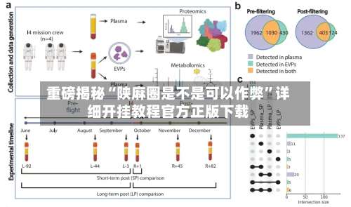 重磅揭秘“陕麻圈是不是可以作弊”详细开挂教程官方正版下载-第2张图片