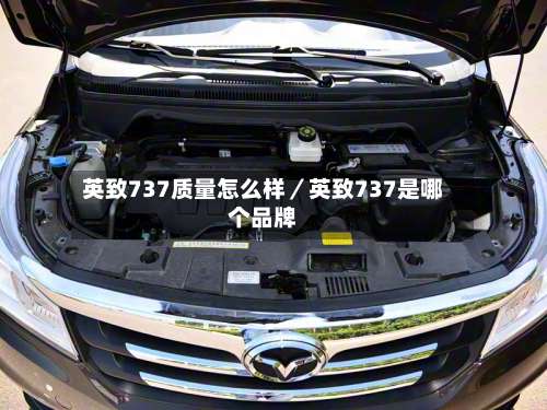 英致737质量怎么样／英致737是哪个品牌-第2张图片