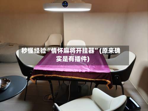 秒懂经验“情怀麻将开挂器”(原来确实是有插件)-第1张图片