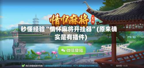 秒懂经验“情怀麻将开挂器	”(原来确实是有插件)-第2张图片