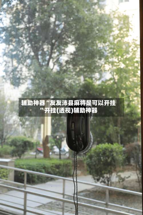 辅助神器“友友沛县麻将是可以开挂”开挂(透视)辅助神器-第2张图片