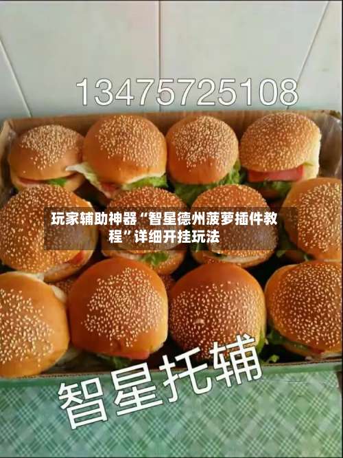 玩家辅助神器“智星德州菠萝插件教程	”详细开挂玩法-第2张图片