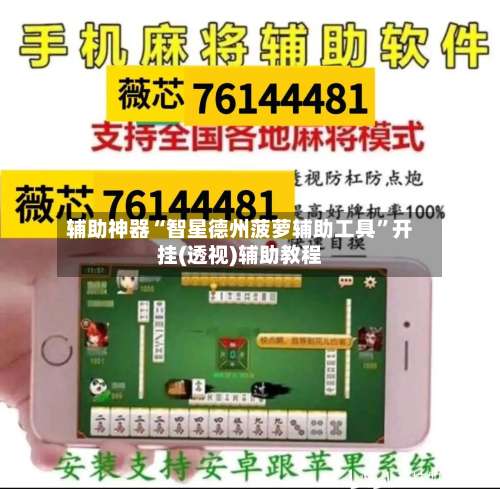 辅助神器“智星德州菠萝辅助工具”开挂(透视)辅助教程-第1张图片