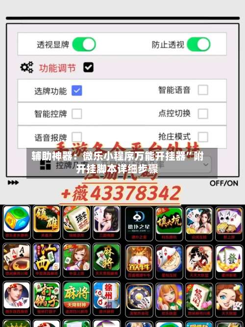 辅助神器：微乐小程序万能开挂器”附开挂脚本详细步骤-第1张图片