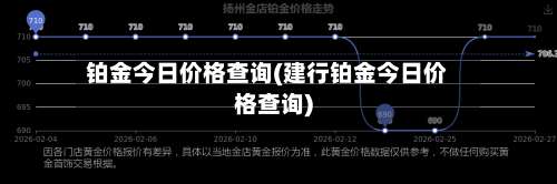 铂金今日价格查询(建行铂金今日价格查询)-第1张图片
