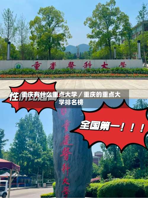 重庆有什么重点大学/重庆的重点大学排名榜-第2张图片