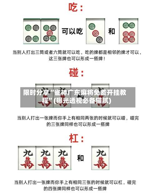 限时分享“雀神广东麻将免费开挂教程	”(曝光透视必备猫腻)-第1张图片