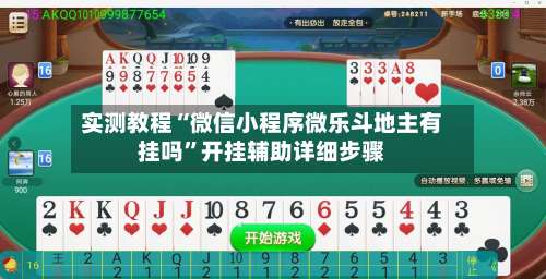 实测教程“微信小程序微乐斗地主有挂吗”开挂辅助详细步骤-第3张图片