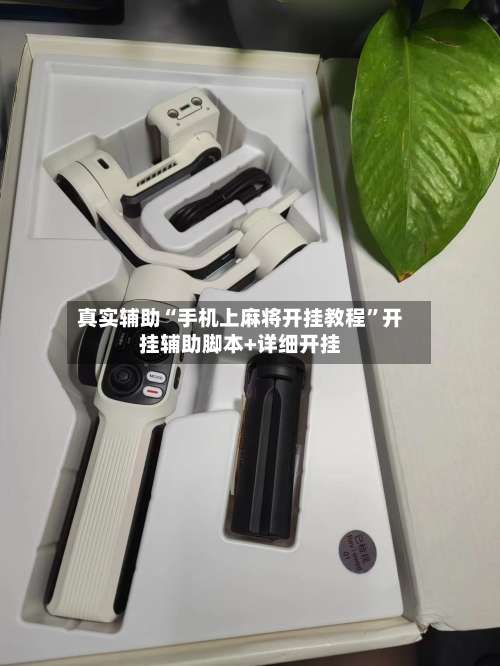 真实辅助“手机上麻将开挂教程	”开挂辅助脚本+详细开挂-第2张图片