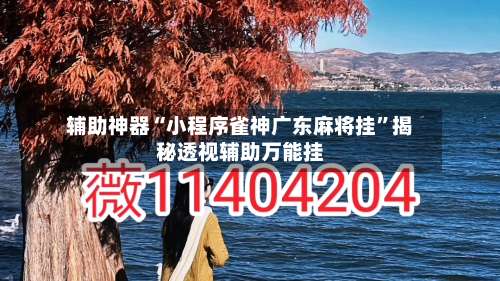 辅助神器“小程序雀神广东麻将挂”揭秘透视辅助万能挂-第2张图片