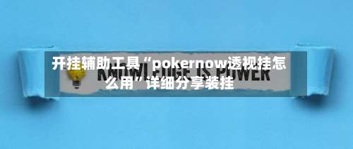 开挂辅助工具“pokernow透视挂怎么用”详细分享装挂-第1张图片