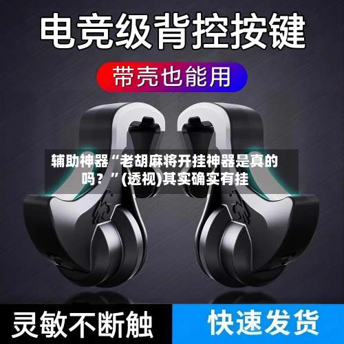 辅助神器“老胡麻将开挂神器是真的吗？”(透视)其实确实有挂-第2张图片