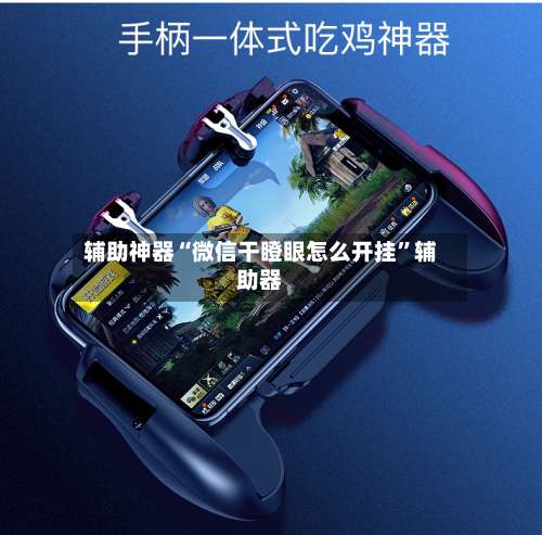 辅助神器“微信干瞪眼怎么开挂	”辅助器-第2张图片